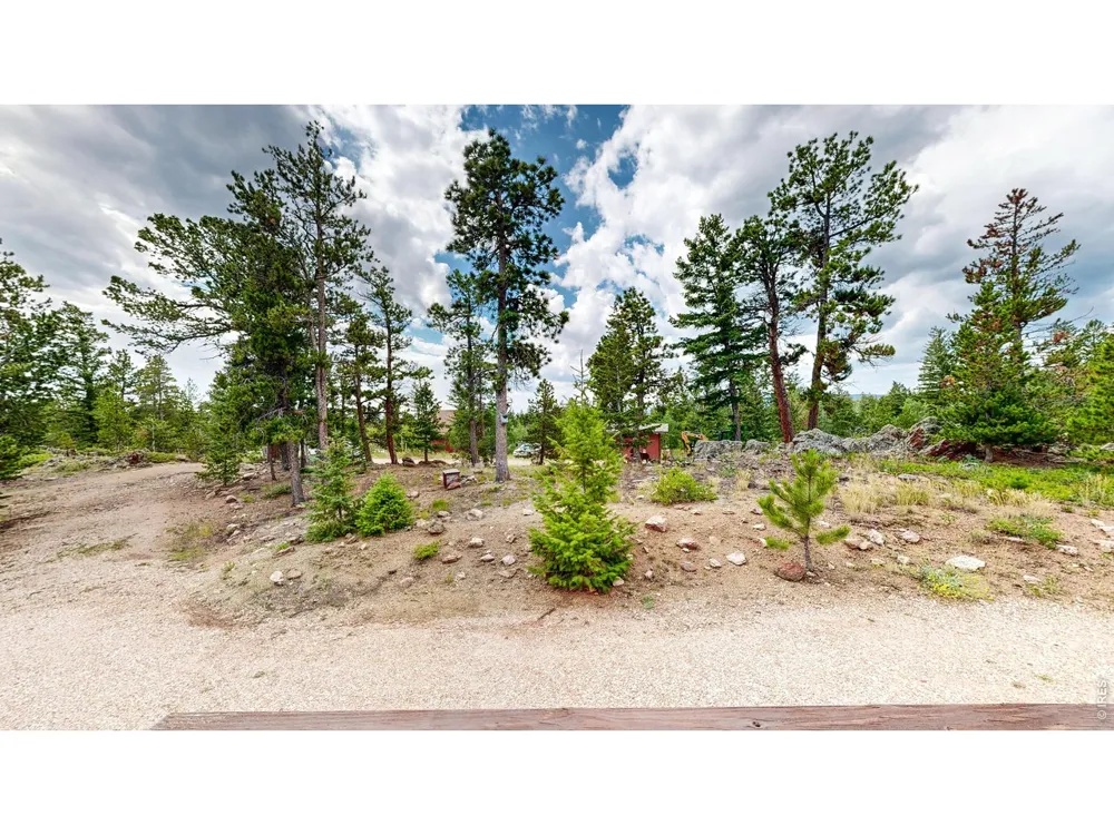 62 Spokane Court Red Feather Lakes, CO 80545