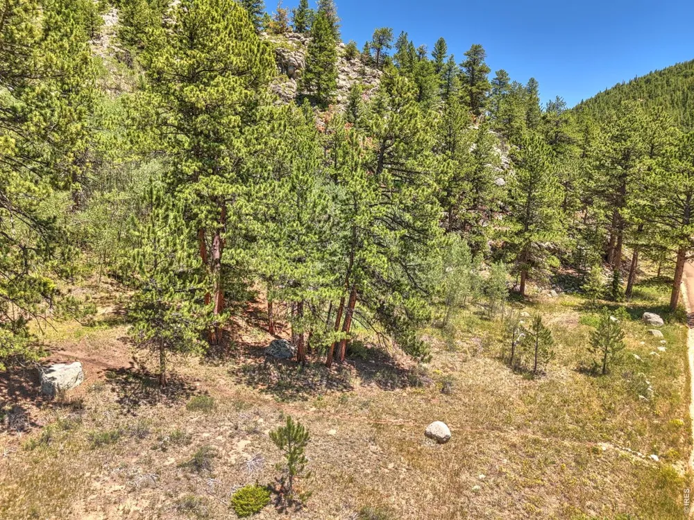 0 Cold Springs Road Nederland, CO 80466