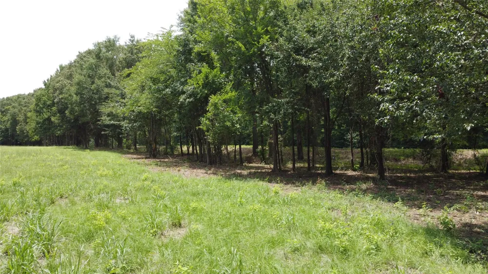 Highway 59 Garrison, TX 75946