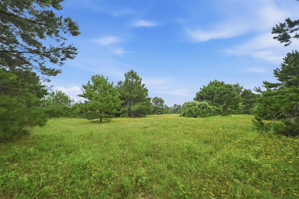 8651 Pr 1230 Centerville, TX 75833
