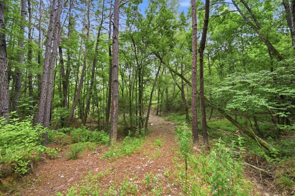 8651 Pr 1230 Centerville, TX 75833