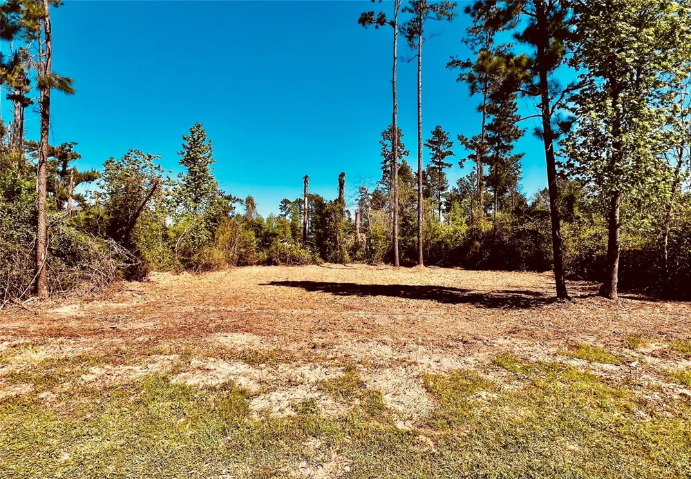171 Brahman Onalaska, TX 77360