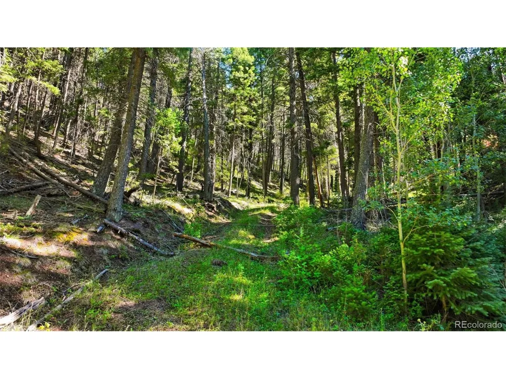 13446 S Firedog Way Larkspur, CO 80118