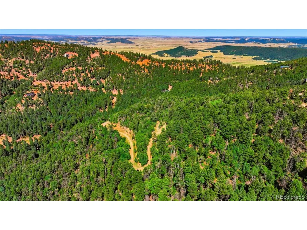 13446 S Firedog Way Larkspur, CO 80118