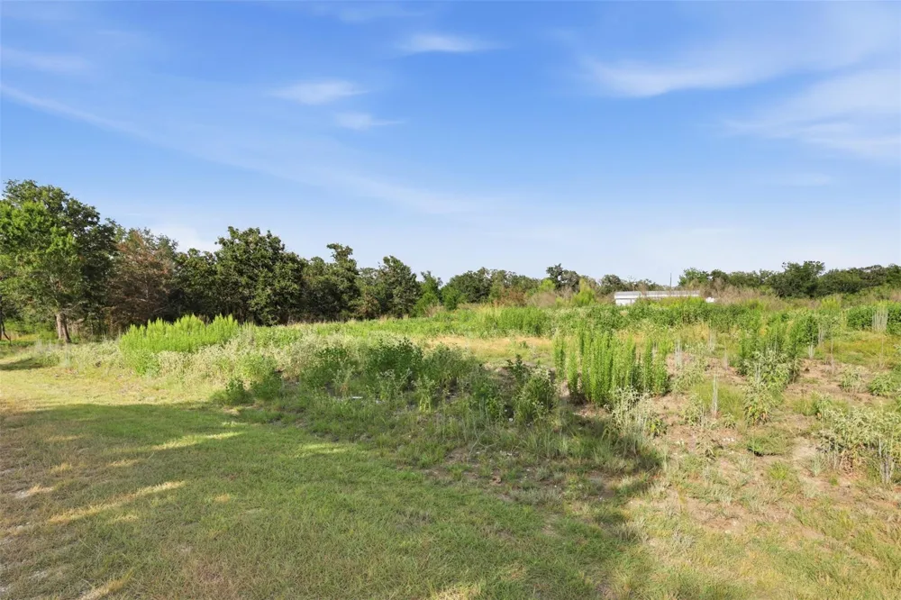 Bengals Bend Somerville, TX 77879