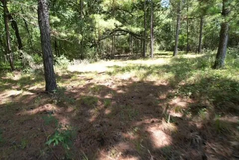 Jones Road