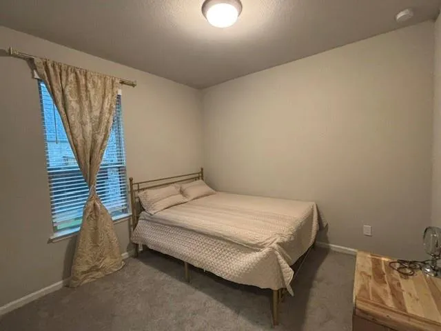 5039 Country Meadows Trail Iowa Colony, TX 77583