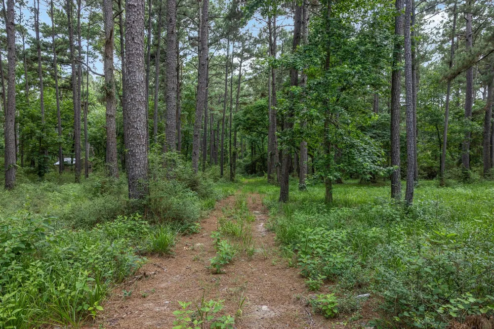 5772 Pr 2065 Centerville, TX 75833