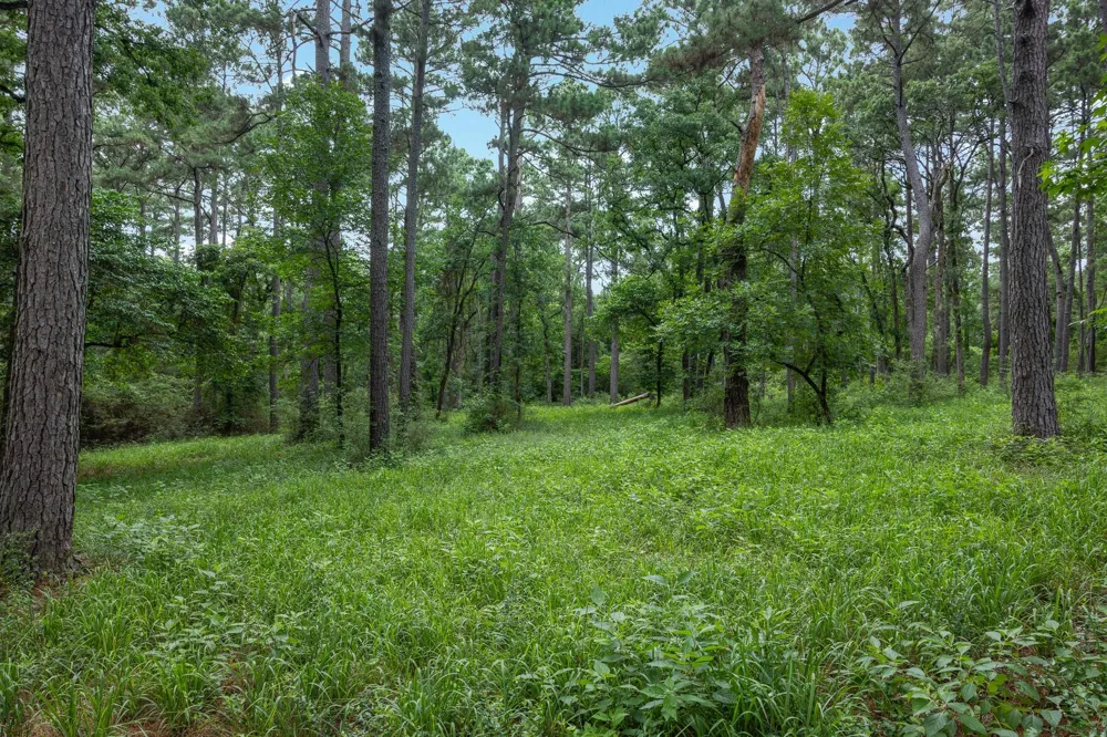 5772 Pr 2065 Centerville, TX 75833