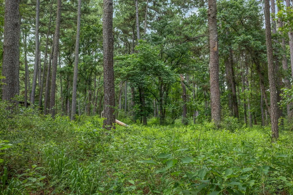 5772 Pr 2065 Centerville, TX 75833