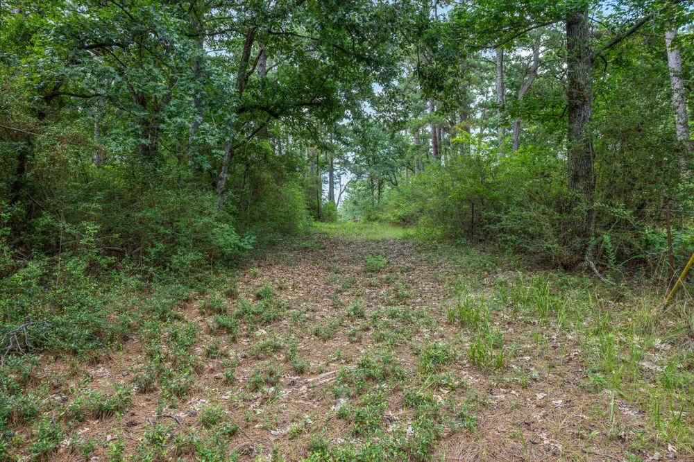 5772 Pr 2065 Centerville, TX 75833
