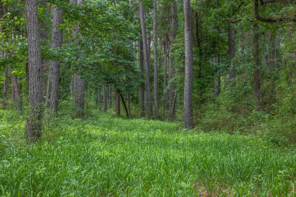 5772 Pr 2065 Centerville, TX 75833