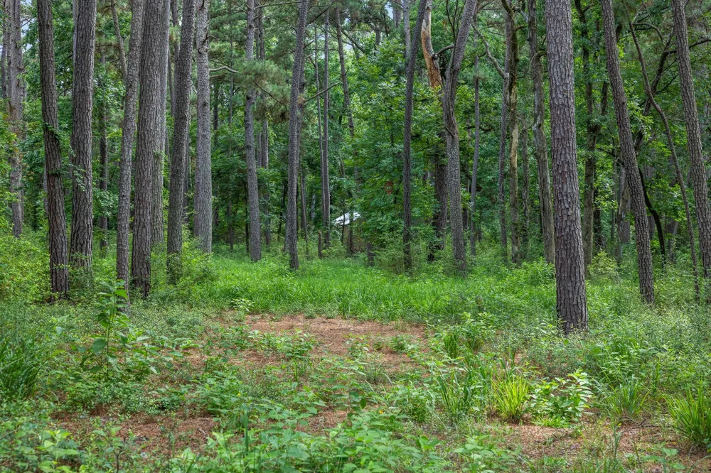 5772 Pr 2065 Centerville, TX 75833