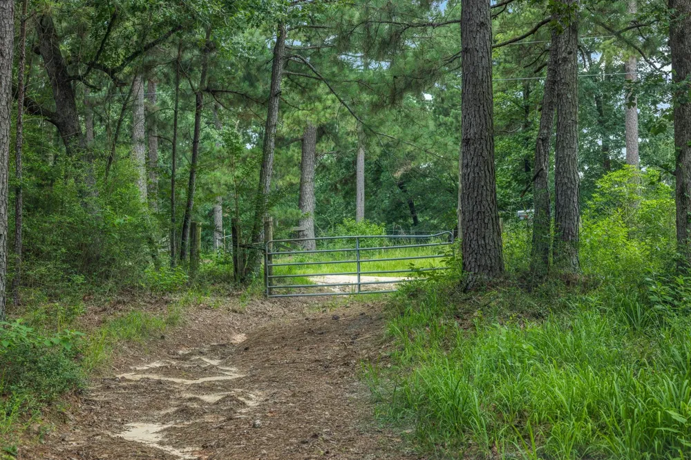 5772 Pr 2065 Centerville, TX 75833