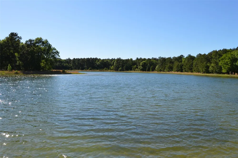 17905 Chestnut Drive Waller, TX 77484
