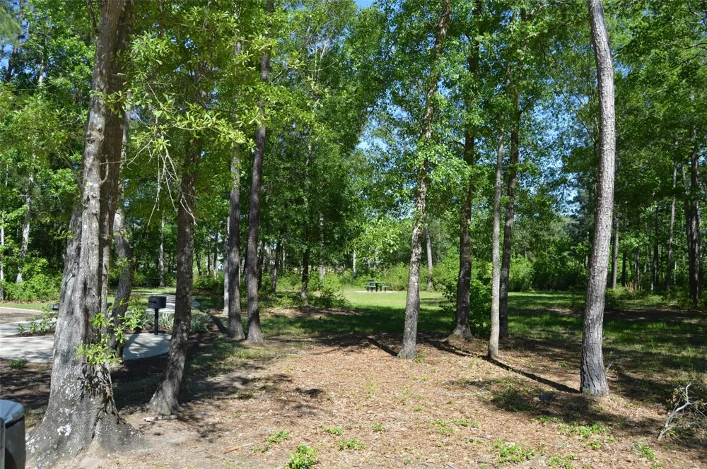 17905 Chestnut Drive Waller, TX 77484