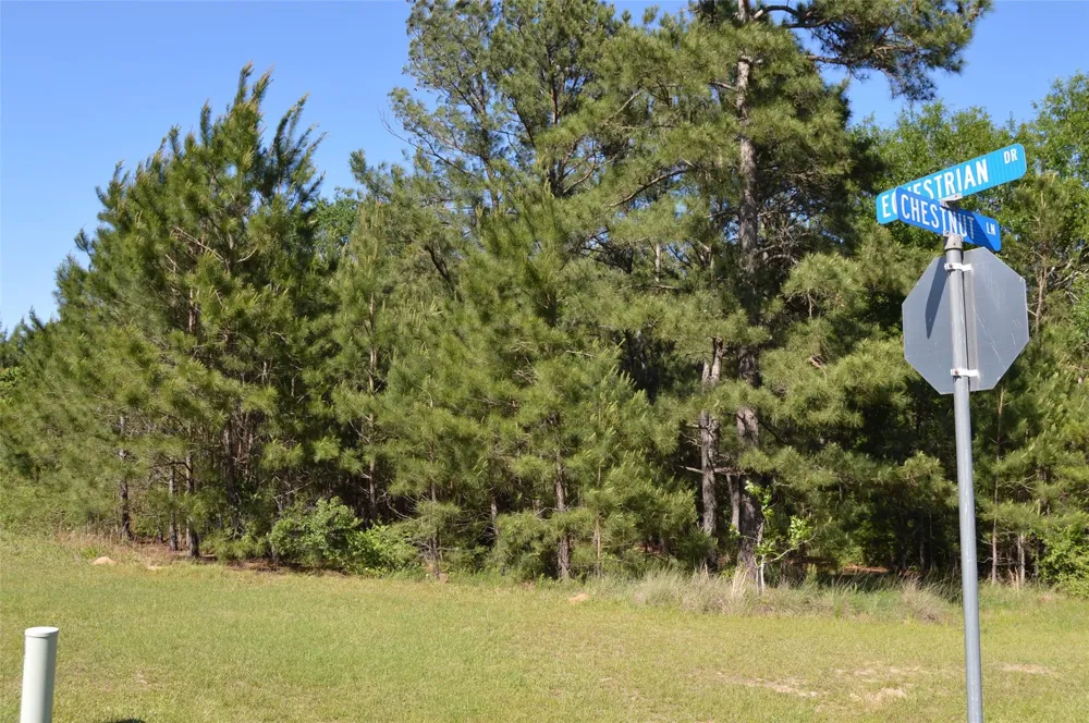 17905 Chestnut Drive Waller, TX 77484