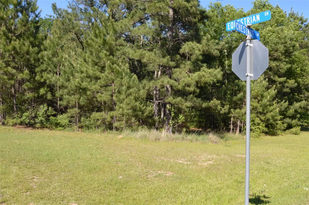 17905 Chestnut Drive Waller, TX 77484