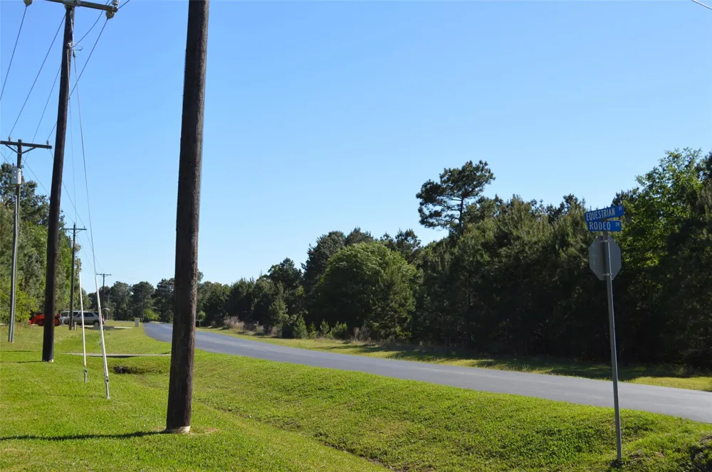 17905 Chestnut Drive Waller, TX 77484