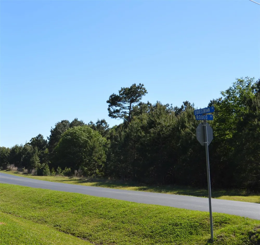 17905 Chestnut Drive Waller, TX 77484