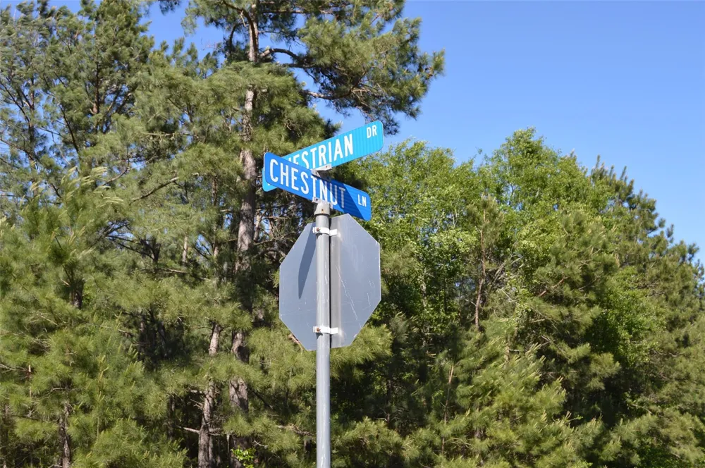 17905 Chestnut Drive Waller, TX 77484