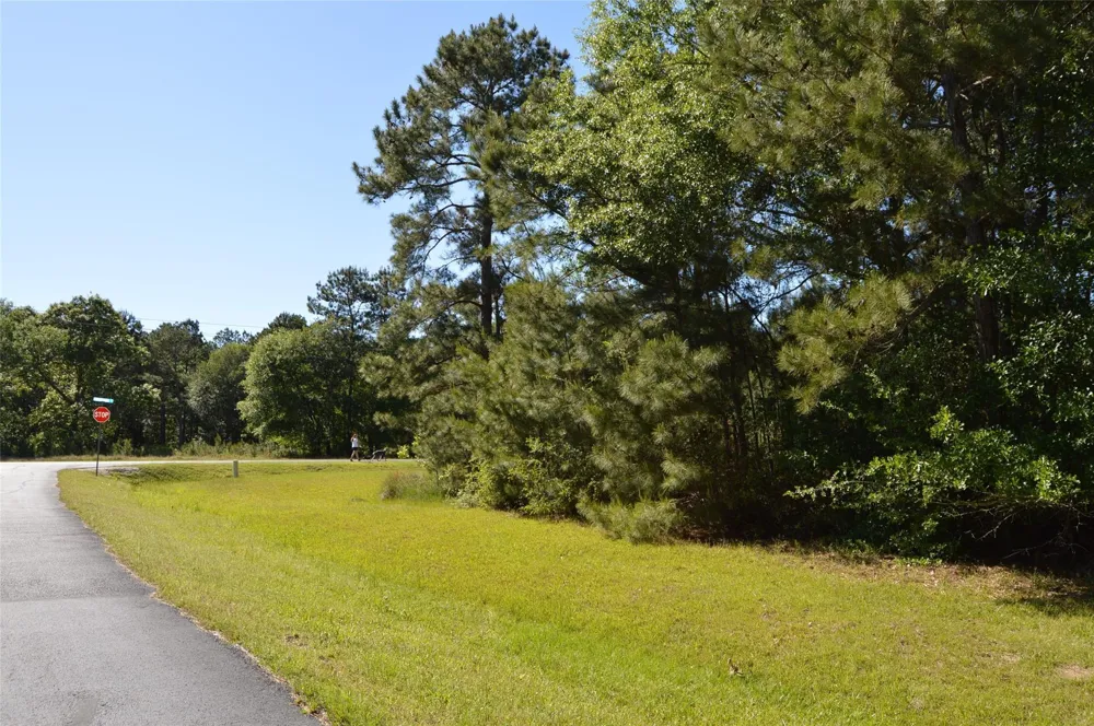 17905 Chestnut Drive Waller, TX 77484
