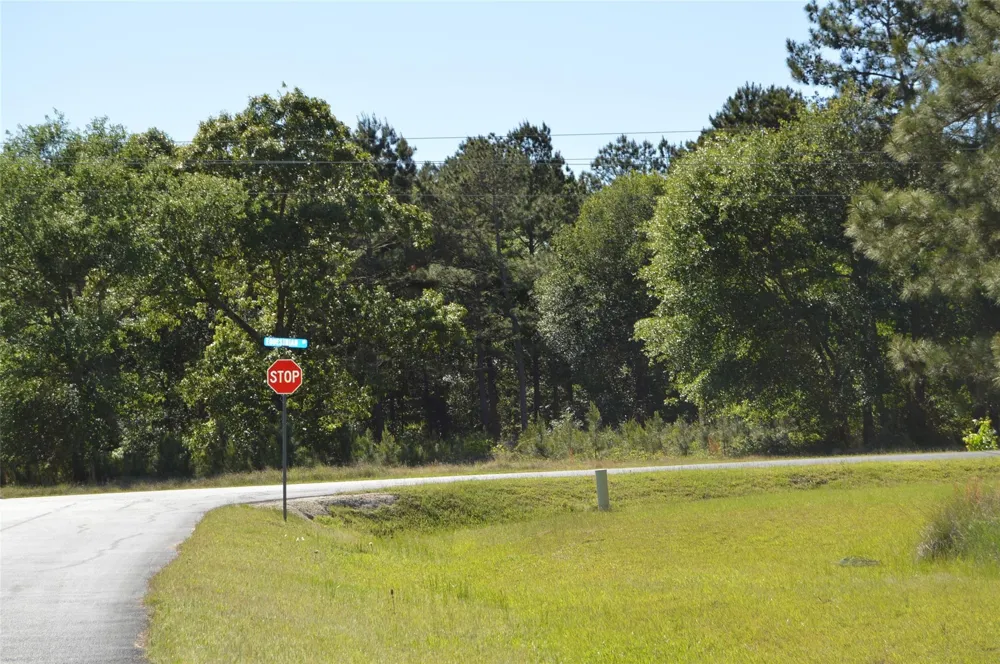 17905 Chestnut Drive Waller, TX 77484
