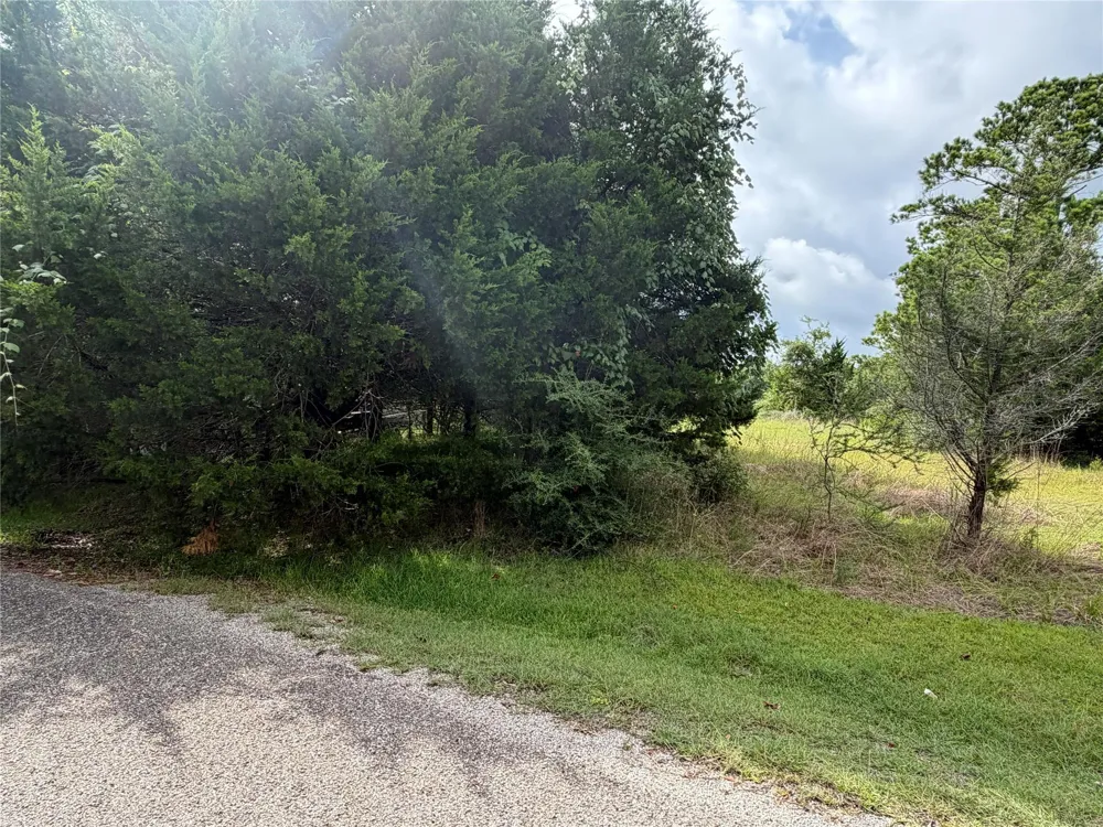 Timber Cove Lane Coldspring, TX 77331