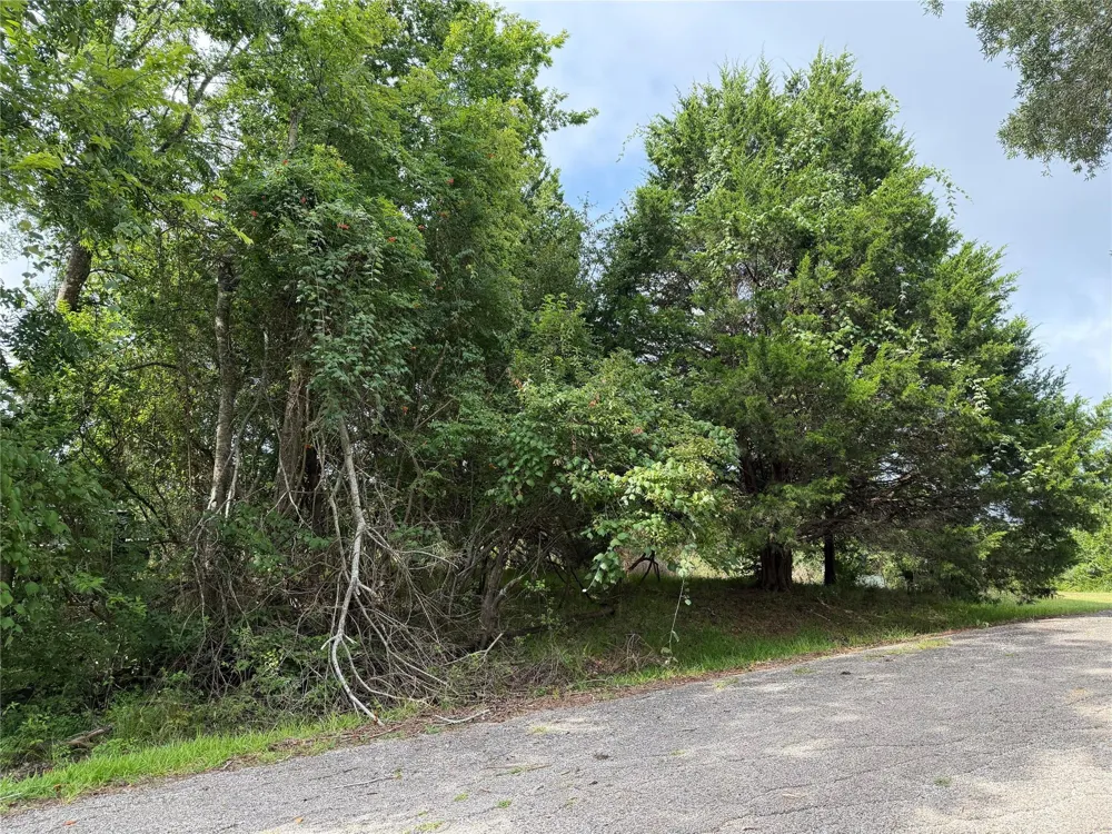 Timber Cove Lane Coldspring, TX 77331