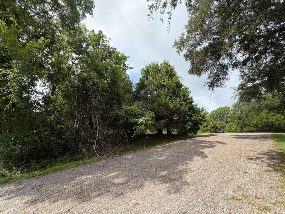 Timber Cove Lane Coldspring, TX 77331
