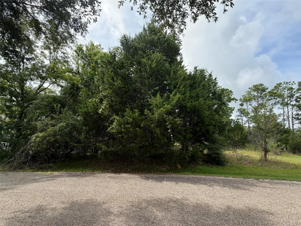 Timber Cove Lane Coldspring, TX 77331