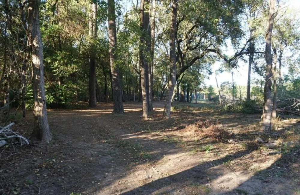 424 S Avenue D Humble, TX 77338