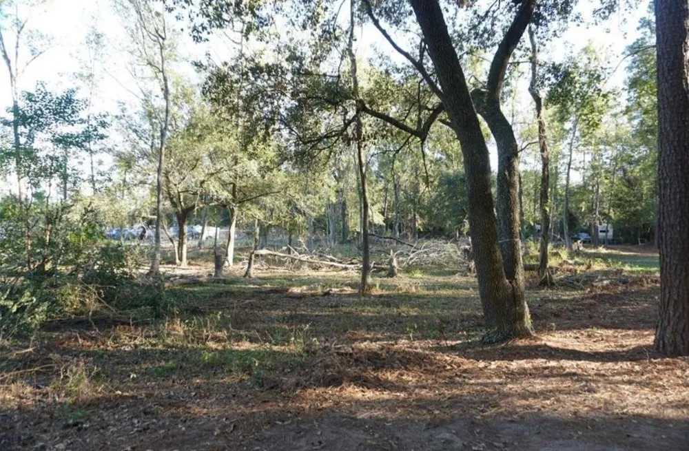 424 S Avenue D Humble, TX 77338