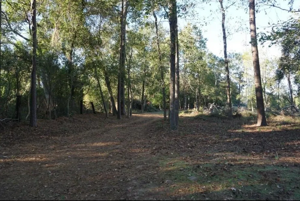 424 S Avenue D Humble, TX 77338