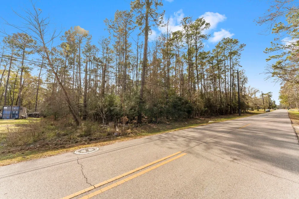 Magnolia Point Drive Huffman, TX 77336