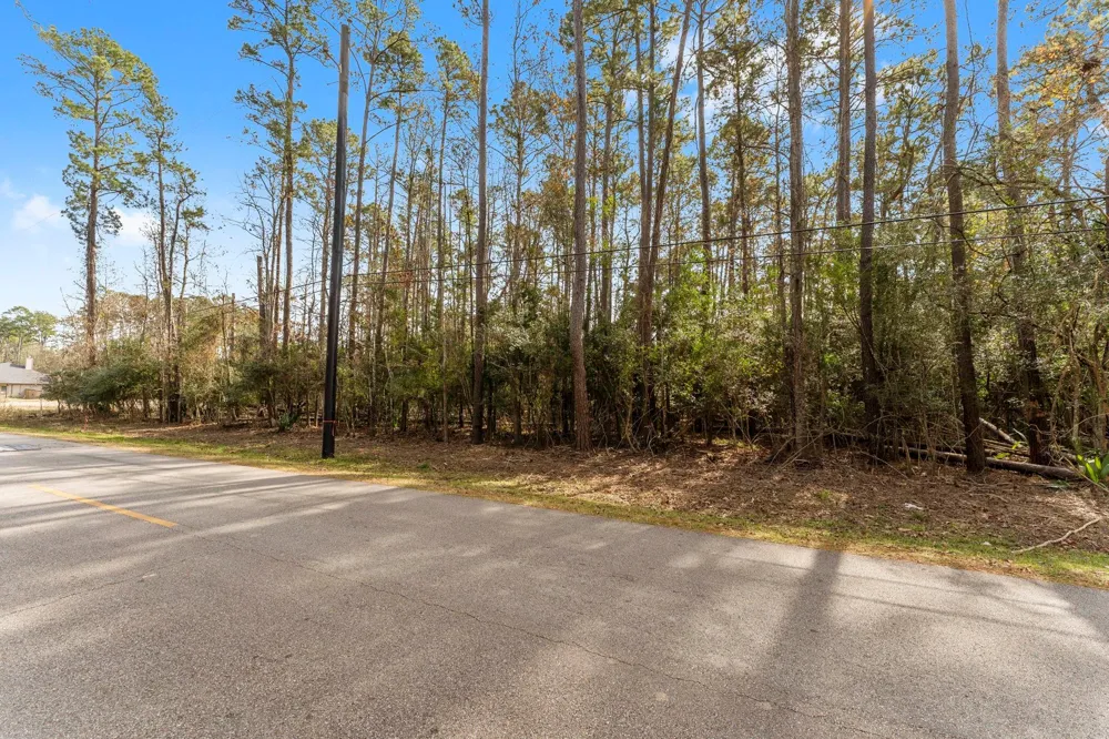 Magnolia Point Drive Huffman, TX 77336