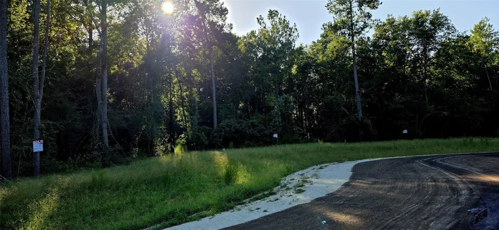 107 Romantic Dreams Ct Court Huntsville, TX 77340