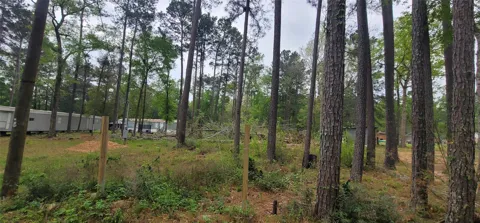 451 Higgins Road