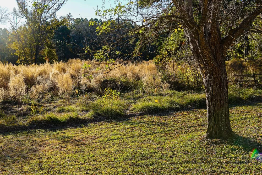 112 Highland Drive Huntsville, TX 77320