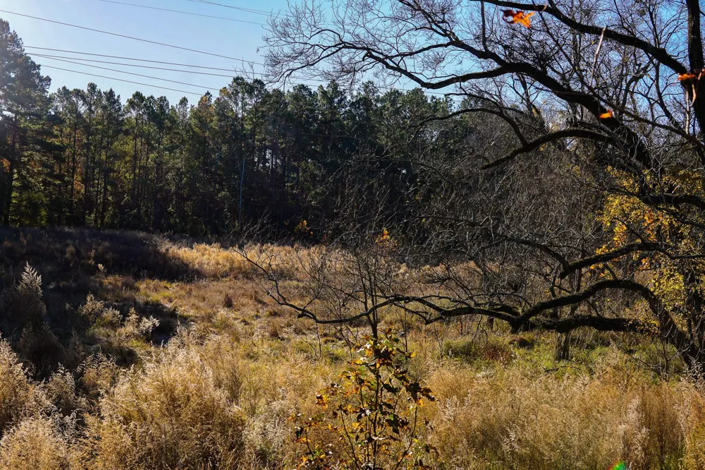 112 Highland Drive Huntsville, TX 77320