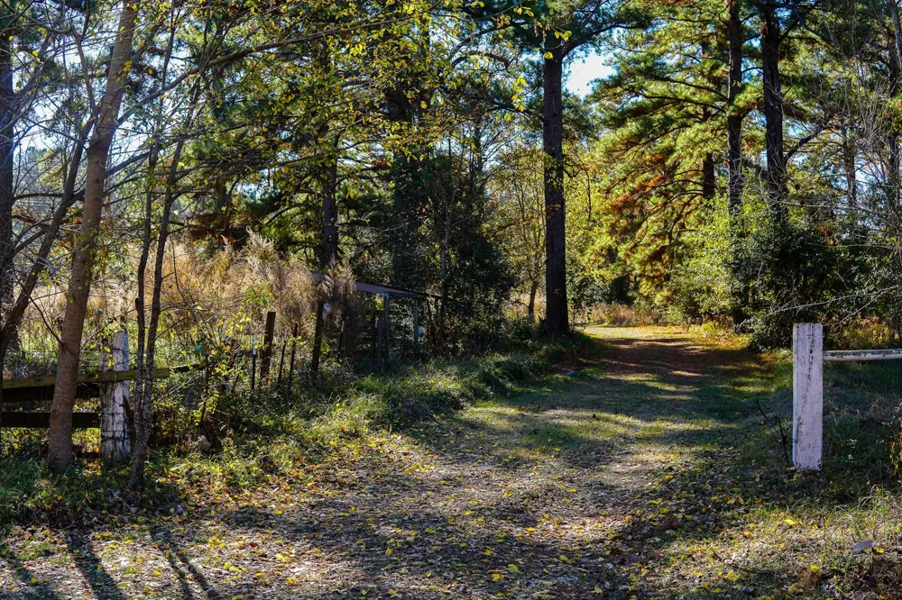 112 Highland Drive Huntsville, TX 77320