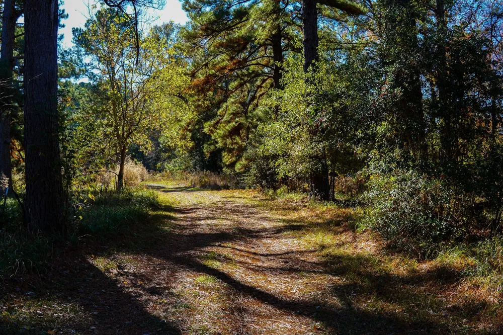 112 Highland Drive Huntsville, TX 77320