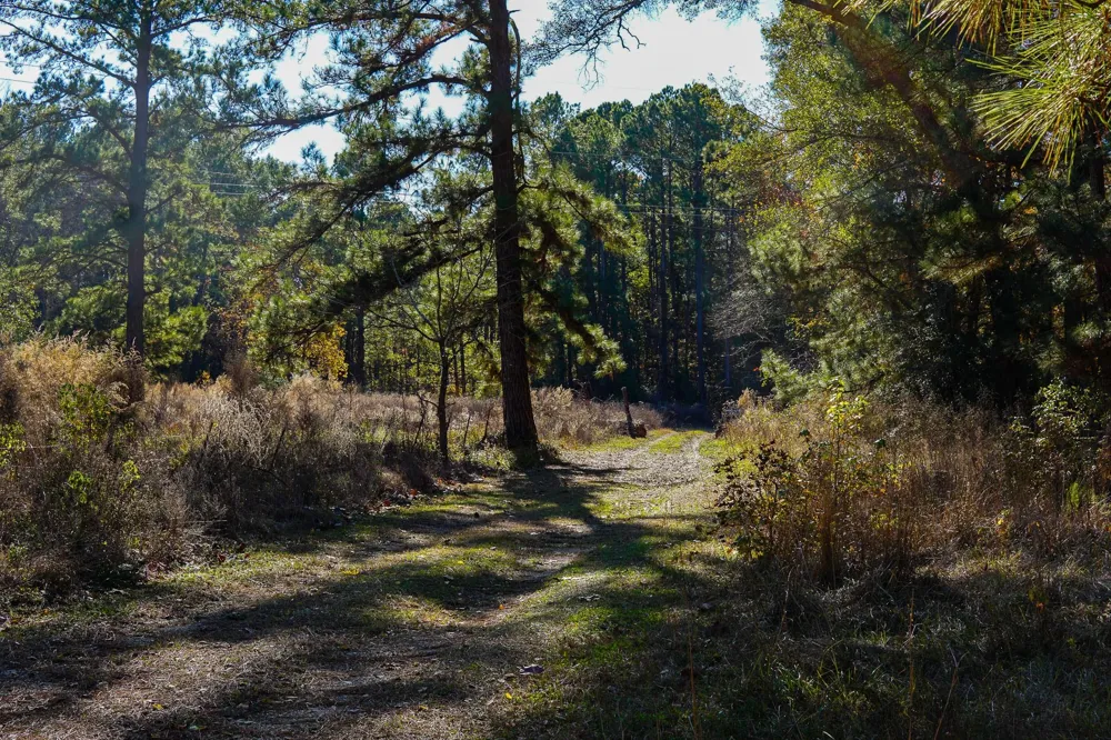112 Highland Drive Huntsville, TX 77320
