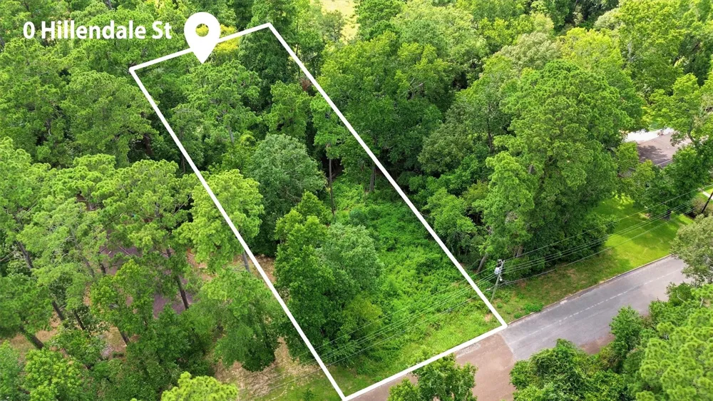 Hillendale Drive Livingston, TX 77351