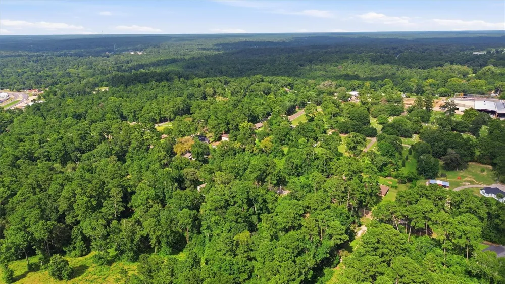 Hillendale Drive Livingston, TX 77351