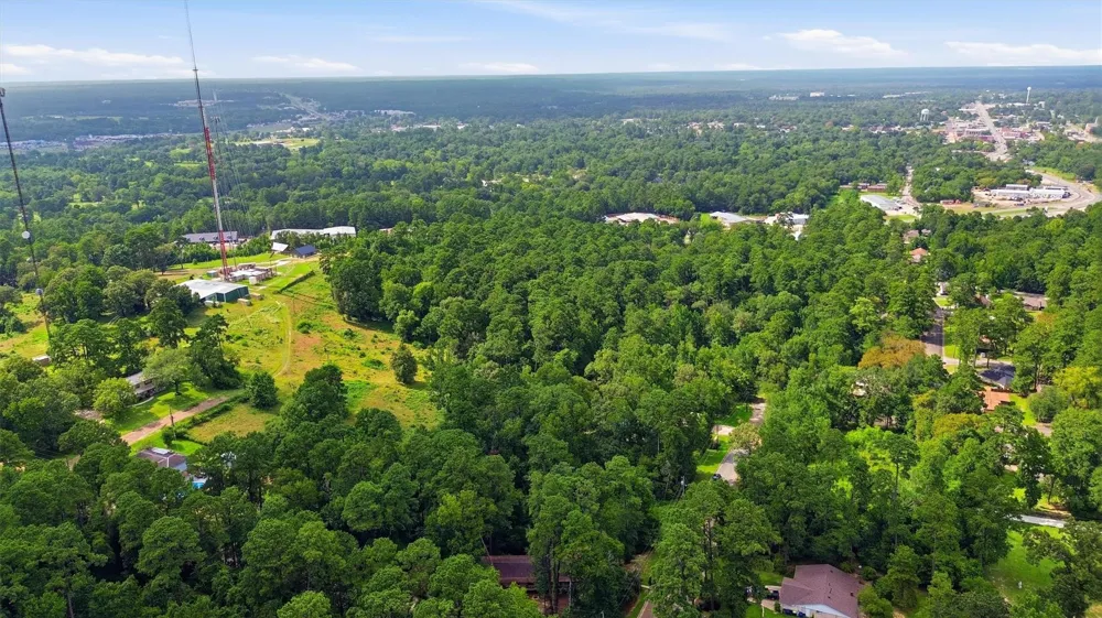 Hillendale Drive Livingston, TX 77351