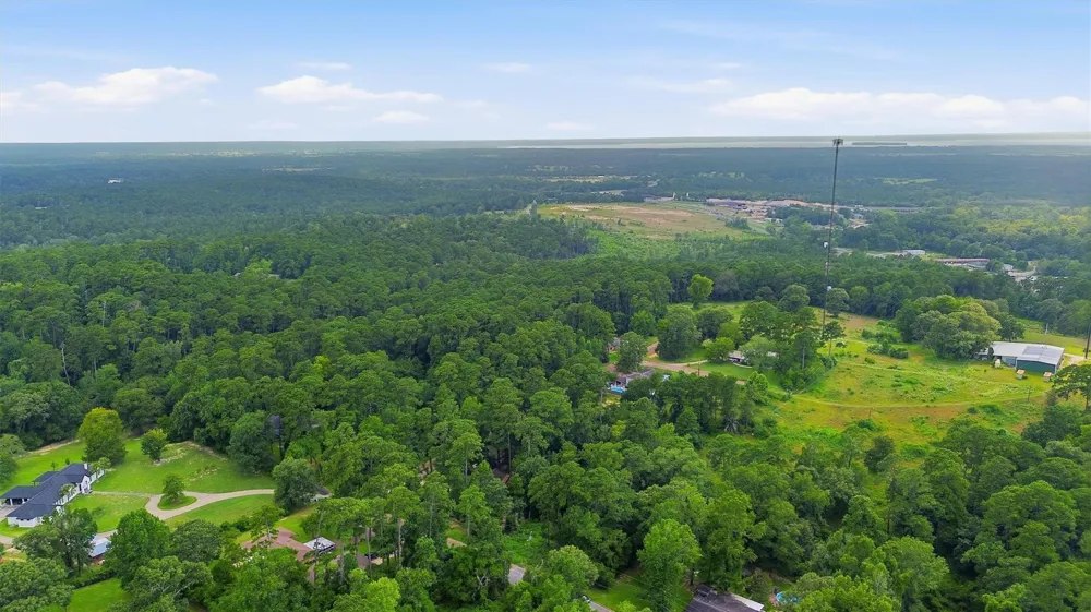 Hillendale Drive Livingston, TX 77351