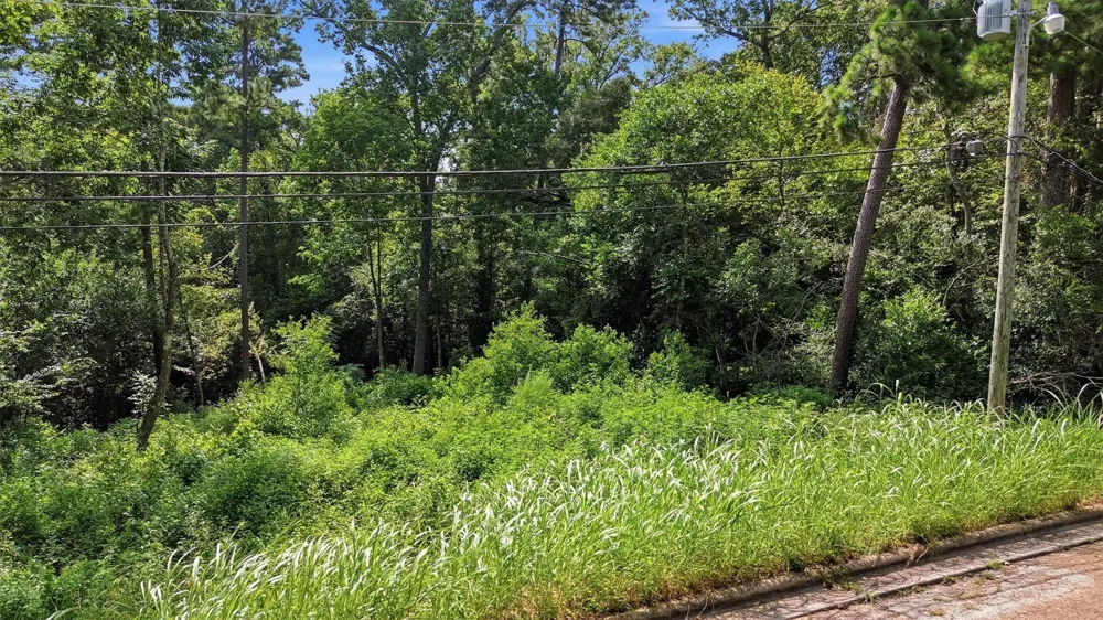 Hillendale Drive Livingston, TX 77351