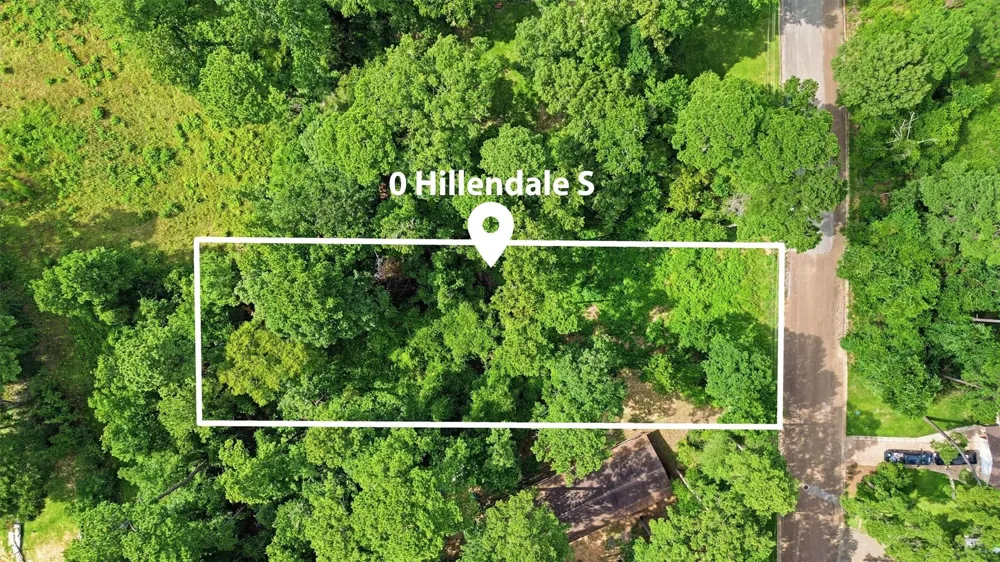 Hillendale Drive Livingston, TX 77351