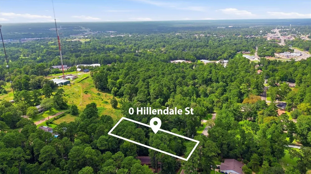 Hillendale Drive Livingston, TX 77351